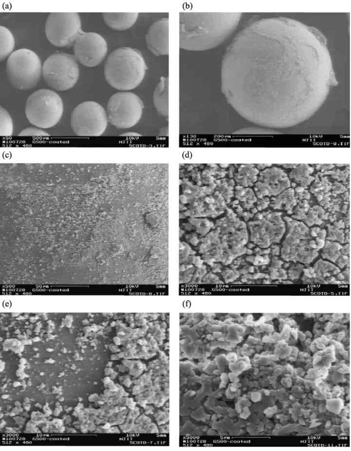 Fig. 6. SEM photographs of coated glass beads (500 Am) at different magnifications: (a) &#34; 50; (b) &#34; 130; (c) &#34; 500; (d) &#34; 3000; (e) &#34; 3000; (f) &#34; 5000.