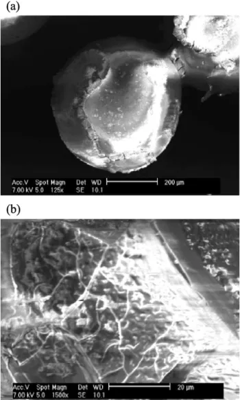 Fig. 7. SEM photograph of glass bead agglomerate (a) and polymer bridge (b).