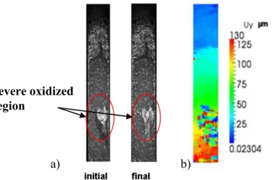 Fig. 7: a) Example of speckle pattern on a hot sample (1200°C). b) Measured vertical displacement  field