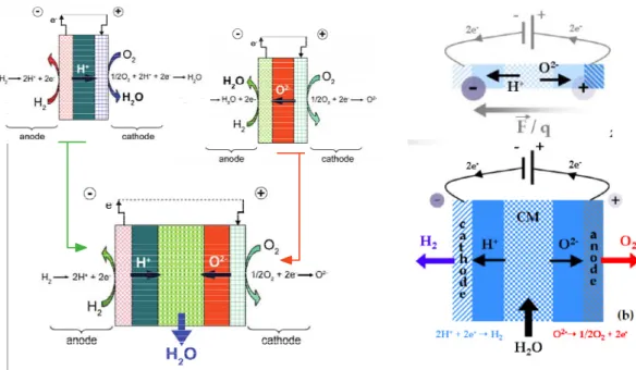 Fig. 1 shows the schematic of a DM-Cell principle. When operating in SOFC mode, H +  and O 2–  ions  are formed at the anode and cathode, respectively, migrate through the protonic and anionic electrolyte  towards the dual membrane placed in the middle of 