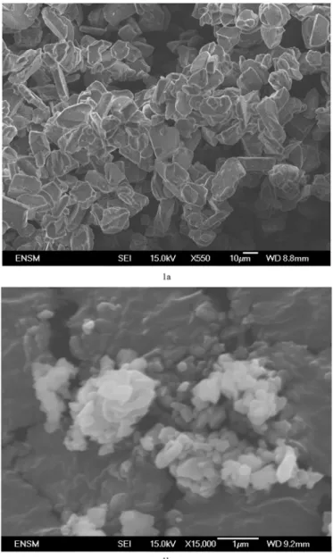 Fig. 1. a: coarse alumina powder (SEM image); b: ﬁne alumina powder (SEM image).