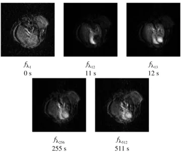 Fig. 1. Five channels of hyperspectral image of a mouse « serim447 » which is a temporal series (128