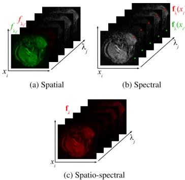 Fig. 3. Three ways to analyse DCE-MRI sequences: (a) spatial, (b) spectral and (c) spatio-spectral approach.