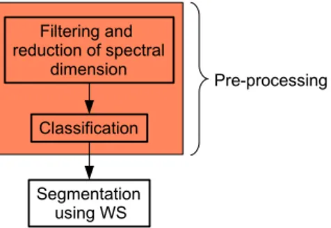 Fig. 4. Framework to segment DCE-MRI time series as hyperspectral images.