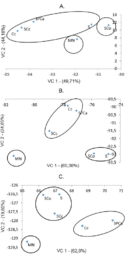 FIGURA 2. Dispersão gráfica, utilizando as duas primeiras variáveis canônicas (VC),  das coberturas e nas três profundidades (A: 0-10 cm, B: 10-20 cm e C: 20-40 cm),  agrupadas  pelo  método  de  Tocher,  com  base  na  dispersão  pelo  método  de  Mahalan