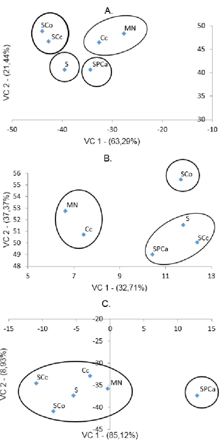 FIGURA  2.  Dispersão  gráfica  para  a  análise  química  do  solo,  utilizando  as  duas  primeiras variáveis canônicas (VC), das coberturas e nas três profundidades (A: 0-10   cm,  B:  10-20  cm e  C:  20-40  cm), agrupadas  pelo  método  de Tocher,  co