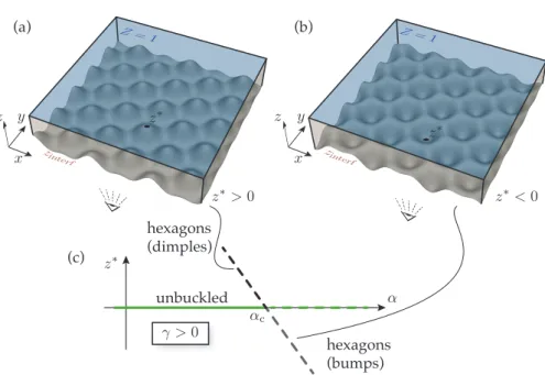 Figure 4: (a,b) Hexagonal pattern predicted by the post-bifurcation analysis, see equation (37): observing the lower face from below, one sees a hexagonal pattern made up (a) of dimples if ηα γ 1 &lt; 0 or (b) of bumps if ηαγ 1 &gt; 0