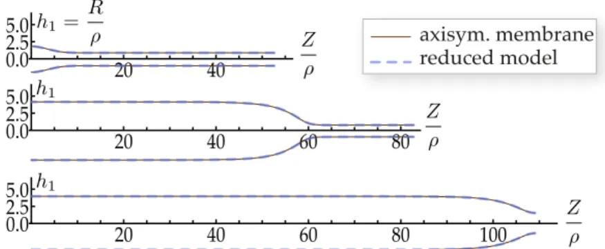 Figure 4: Solutions for a propagating bulge in an axisymmetric membrane with initial aspect ratio L/⇢ = 30: comparison of the predictions of the full axisymmetric membrane model ( § 3.1) and of the reduced model in equation (3.4), from Lestringant and Audo