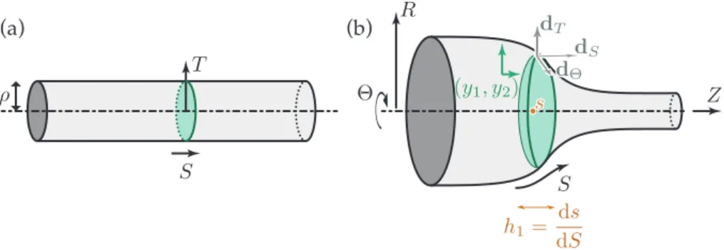 Figure 6: A nonlinearly elastic cylinder in (a) reference configuration and (b) current configuration.