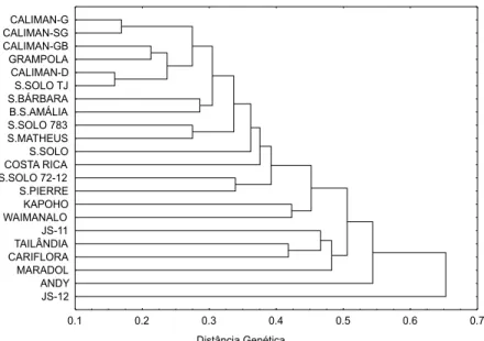 FIGURA 1 – Dendrograma  da  dissimilaridade  genética de 22 genótipos de mamoeiro, com base na integração de marcadores RAPD + AFLP, obtido pelo método  UPGMA, utilizando a distância do complemento aritmético do índice de Jaccard.