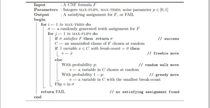 Figure 6: WSAT incomplete SAT algorithm [1] 