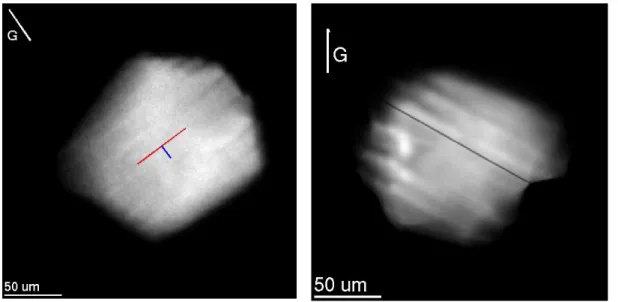 Figure 2: a) [0 1 -1 0] diffraction topograph of the grain labeled A in Figure 1, as acquired during the  DCT  scan