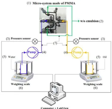 Figure 1. Emulsification setup: (1)- Micro-system comprising  a single bend at the emulsion channel, (2)- Water in oil  emulsion, (3)- Pressure sensors, (4)- Piston pumps, (5)-  Beakers containing water or continuous phase (oil or  Diesel), (6)- Weighing s