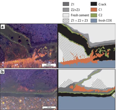 Figure 10. CL image and schematics describing the different phases which affect the caprock/cement  interface and the cement after ageing with CO 2 