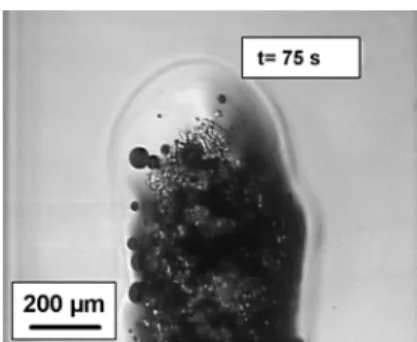 Figure 2: First step of cellulose xanthate dissolution in NaOH 8%–water, with the creation of a highly  viscous shell that hampers the dispersion of all fibres and prevents fast diffusion of the solvent to  undissolved fibres 