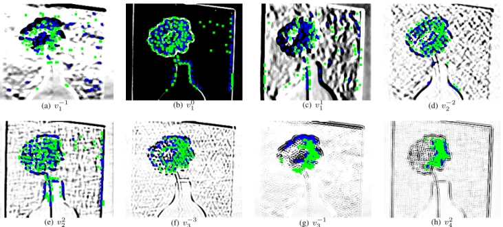 Fig. 6. The convolution response for some of the pseudo-Zernike polynomials. The response map is visualized only for the first scale