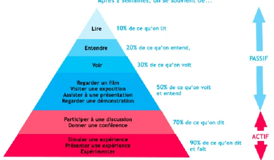 Figure 9: Pyramide (le cône) d'apprentissage 