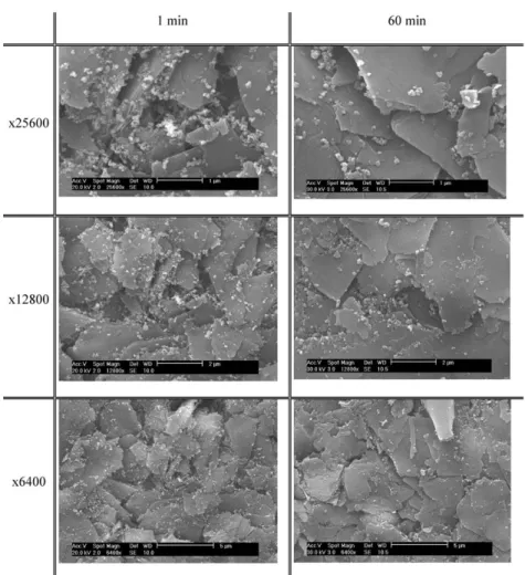 Figure 7. SEM pictures of tablets: comparison of two processing times (1 and 60 min) at three different magnifications.