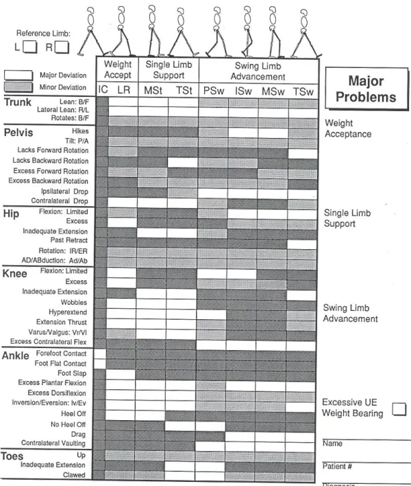 Figure 9 : Tiré de : Perry, J (1992). Gait analysis, Normal and pathological function, Slack   Inc., Thorafore, NJ., Fig