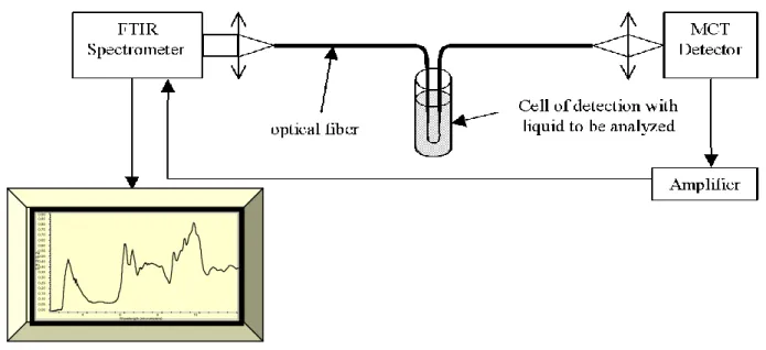 Figure 1.  Schematic representation of the experimental set up used for FEWS experiments
