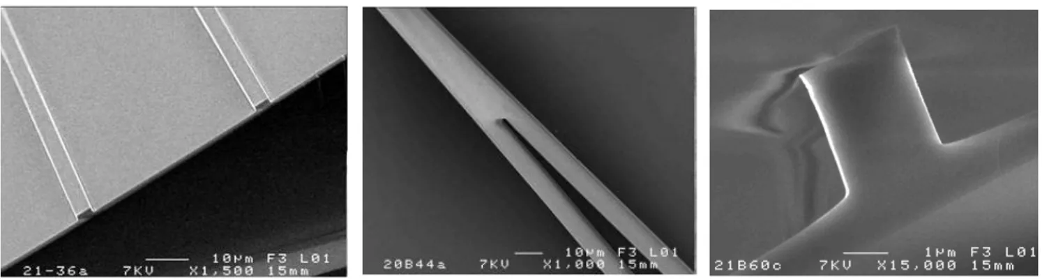 Figure  5.  SEM  micrographs  showing  waveguide  cross  section  and  Y  junction  rib  waveguide made of Ge 25 Sb 10 S 65  deposited by sputtering 