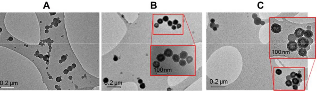 Figure 8. TEM images of FON dispersions deposited on holey carbon-coated copper grids