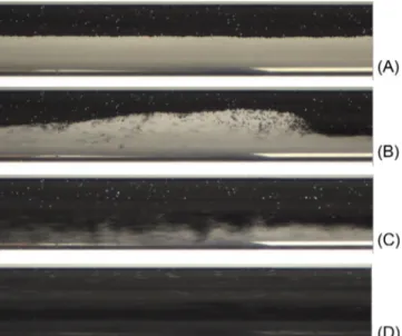 Fig. 4. Photographs of ﬂow patterns at U = 15 %vol for medium particles. (A) No solid motion