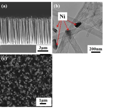 Fig. 4 (a) Cross-sectional view of the primary VACNT array; (b) TEM image of  the  primary VACNT array ; and (c) top view of the primary VACNT array