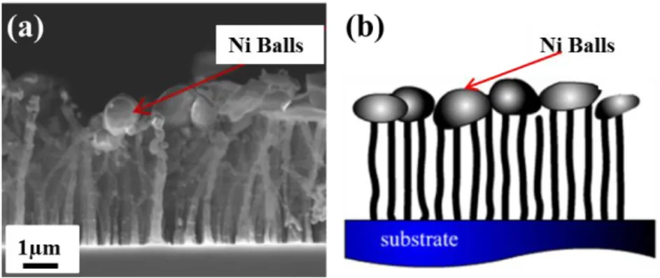 Fig. 5  3D  CNT  network grown  using  the sputtering  method:  (a)  the  cross-sectional  SEM image; and (b) the schematic image