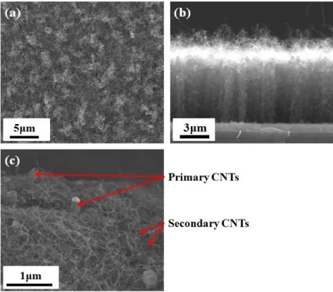 Fig. 7 SEM images of a 3D CNT network grown using the impregnation method: (a)  top view SEM image of the 3D CNT network; (b) cross-sectional view of the 3D CNT  network; and (c) zoom image of the 3D CNT network