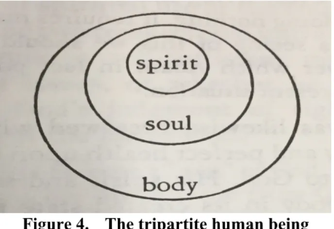 Figure 4.  The tripartite human being 