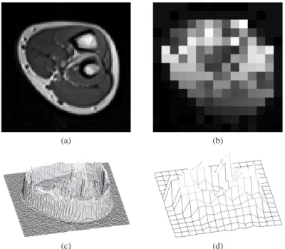 Figure 1. From original image to regular mesh. (a) Original image of size 80x80 pixels