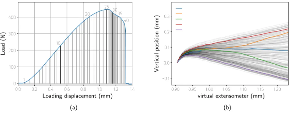 Figure 3: Fully automated in situ tensile test with Bulky (a) loading curve recorded during the test (b) particle tracking to serve as a virtual extensometer.