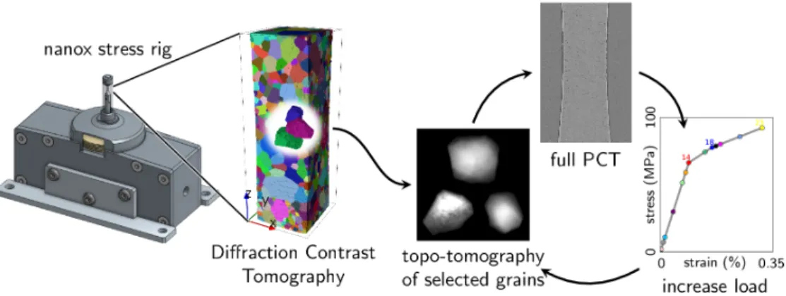 Figure 4: Summary of the in-situ topotomography experiment: the initial microstructure is characterized by DCT and analyzed to monitor the topotomography experiments on three grain cluster embedded in the bulk.