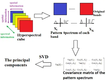 Figure 6: Process of pattern spectrum MPCA.