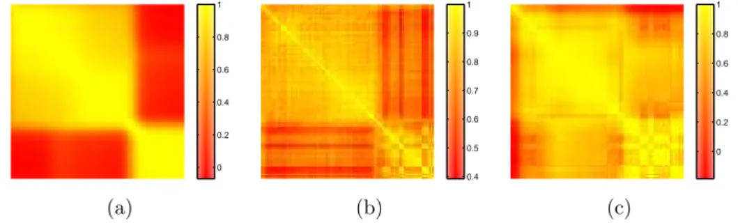Figure 10: Visualization of the correlation matrix of (a) the spectral bands of Pavia hyperspectral image, (b) the PS of its spectral bands, the distance function of its spectral bands.