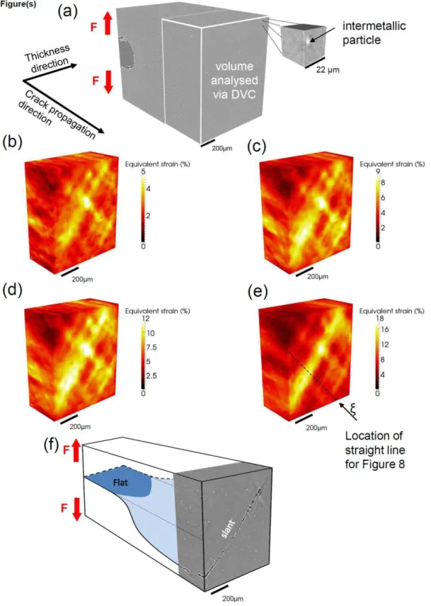 Fig. 7:   3D von Mises’ equivalent strain fields and final crack pattern in the material bulk