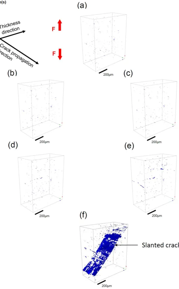 Fig. 10:  3D rendering of damage/void evolution in the laminography image investigated by DVC for: (a) the  unloaded state, (b) load step (1), (c) load step (2), (d) load step (3), (e) load step (4), (f) final load step, slanted 