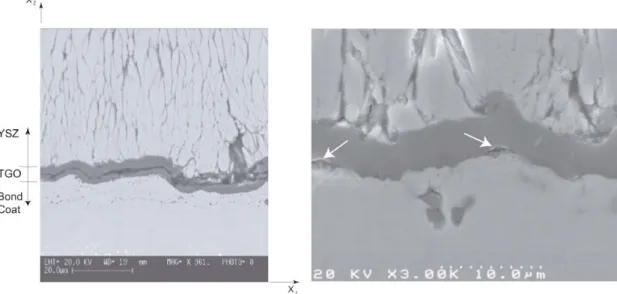 Figure 1  SEM micrographs showing (a) a typical microstructure of a TBC system  (2466 MCrAlY bond coat, EB-PVD YSZ, CMSX4 substrate) after 700 h at 1000  o C,  and (b)  possible initiation sites (see arrows) of interfacial microcracks between the  TGO and 