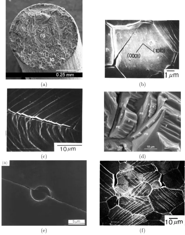 Figure 1: Available experimental data on Zircaloy-4 fracture in iodine environment: (a) Intergranular, transgranular, ductile fracture [29], (b) TG crack pictures [30],(c) TG crack initiation [30], (d) Details of TG crack propagation [29], (e) Experimental