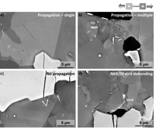 Fig. 14. Illustration of the fraction of pre-cracked NMIs leading to one speciﬁc mech- mech-anism of crack transmission in the grain in contact of the pre-crack tip, i.e