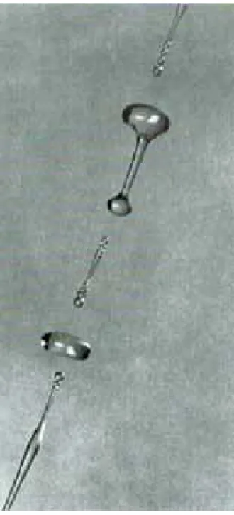 Figure 10 : Photographie  détaillée de gouttes d’eau  semblables, mais non  identiques 