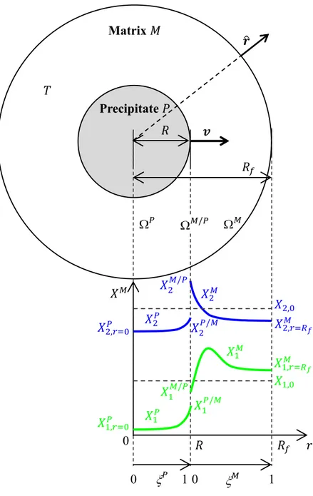 Figure 1. Illustration of the precipitate   plus matrix   system with homogeneous but  non-isothermal temperature  , together with schematized molar composition profiles for  components 1 (green line) and 2 (blue line) in the precipitate and matrix domains