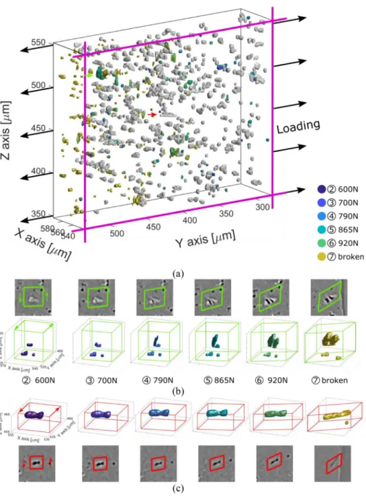 Fig. 11.  Void evolution in the reference  conﬁguration  for bin VI from Fig. 5  . Pre-existing voids are shown in grey, while newly created voids are  shown in the color of the  respective step