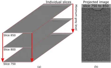 Fig. 4. Projection DIC with (a)  the  individual  slices combined  over  65  μ m  and  (b)  the ﬁnal image  with  the  minimum grey  level