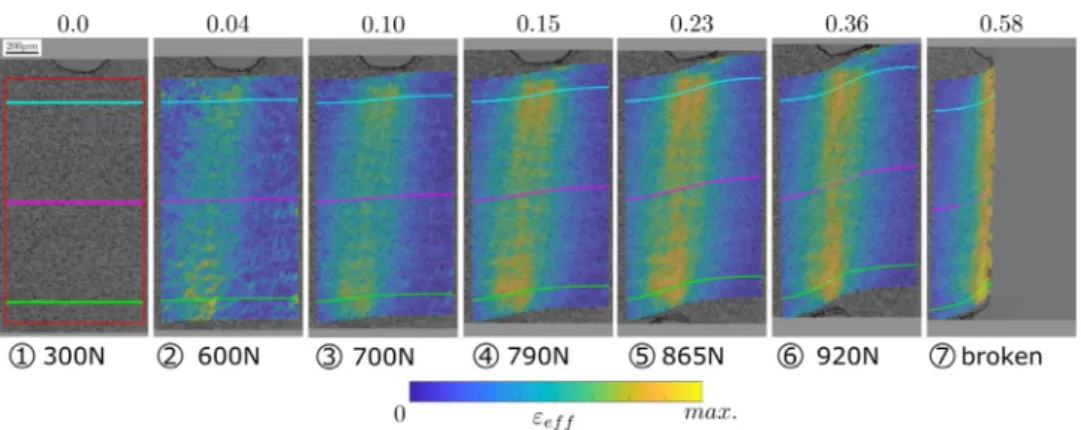 Fig.  8. Effective strain  ﬁeld  evolution during the  loading history  measured  by projection  DIC at mid-sample  thickness