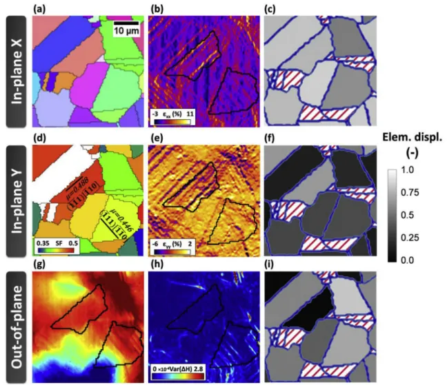 Fig. 8. Region showing in-plane but not out-of-plane slip localization, and conversely a region showing out-of-plane but weak in-plane strain localization: (a) IPF map in reference to the loading direction, (b) ε xx strain ﬁeld, (c) theoretical elementary 