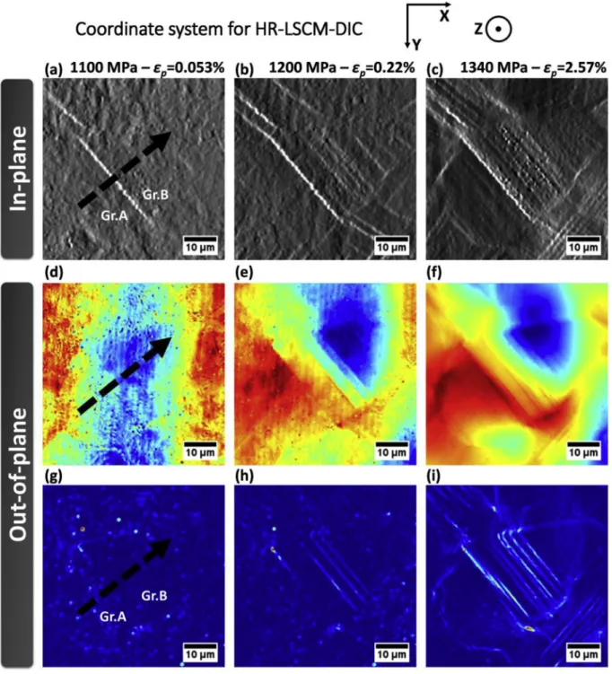 Fig. 4. Identiﬁcation of discrete in-plane and out-of-plane strain localization at the sub-grain level in the ROI deﬁned in Fig