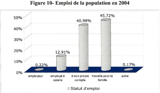 Figure 10- Emploi de la population en 2004