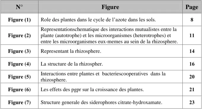 Figure      Role des plantes dans le cycle de l’azote dans les sols.    